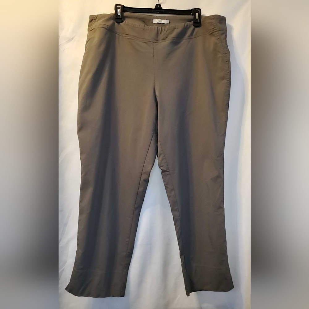 Dalia Women's Gray Ankle Pants